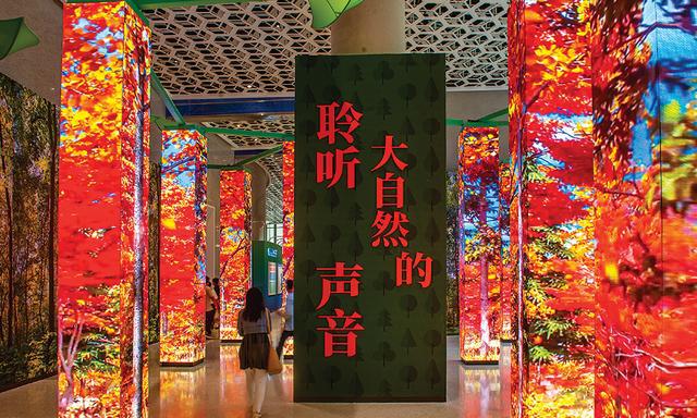 一園一景展雄安生態之美——雄安郊野公園掠影