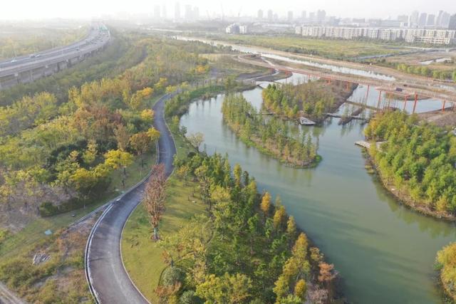 上海浦東：未來5年公園將超200座