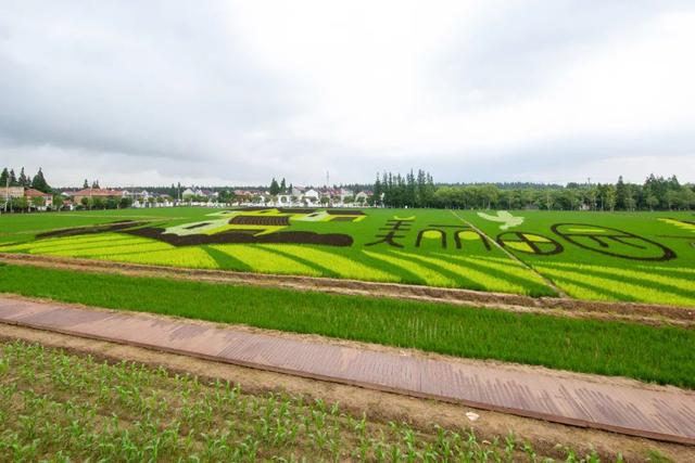 上海浦東：未來5年公園將超200座