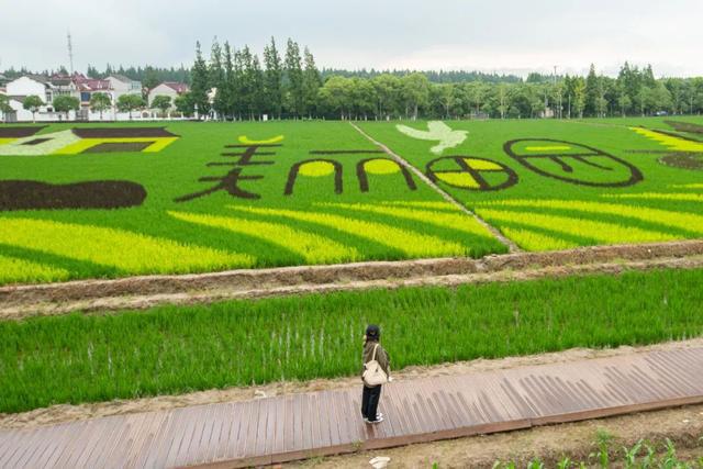 上海浦東：未來5年公園將超200座