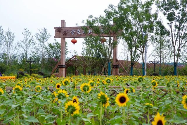 上海浦東：未來5年公園將超200座