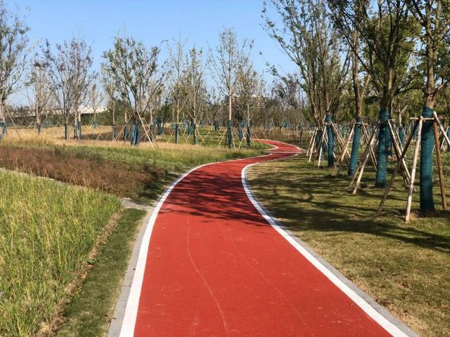 上海浦東：未來5年公園將超200座