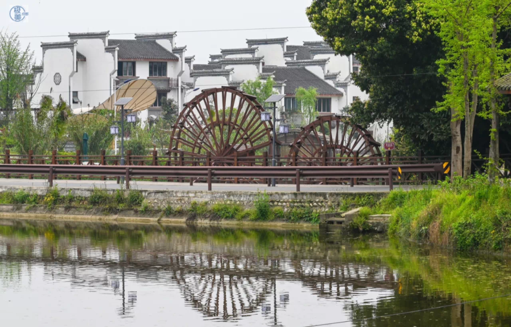 6類場景營造 成都全力推進公園城市建設
