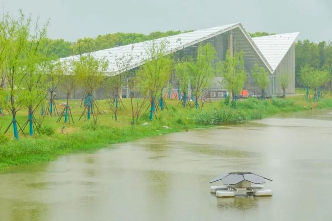 上海最大海綿公園“星空之境”開園試運行