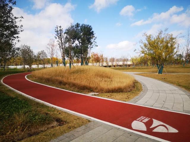 上海浦東今年建成40公里綠道 串聯各類生態空間