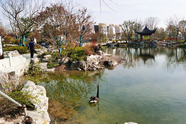 世博文化公園北區開園在即，有這些寶貴啟示