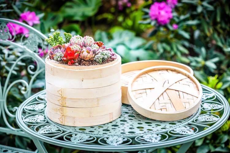 辰山植物園新春花展即將開幕 主題花開富貴