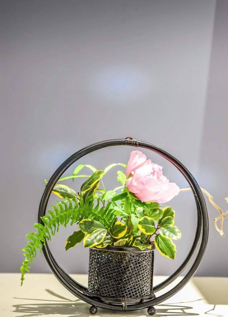 辰山植物園新春花展即將開幕 主題花開富貴