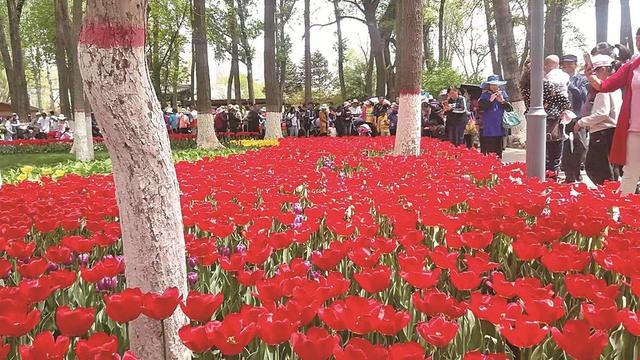 西寧：從“有公園的城市”到“公園中的城市”