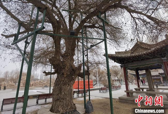 甘肅酒泉：漢代園林“提檔升級”