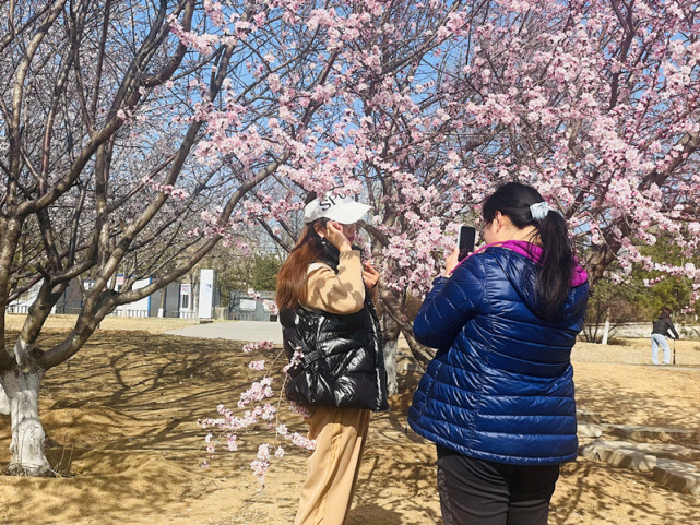冬奧公園與首鋼園互聯互通，多個景觀節點五一迎客