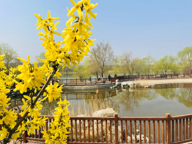 冬奧公園與首鋼園互聯互通，多個景觀節點五一迎客