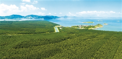 福建這樣打造全國最美海岸線