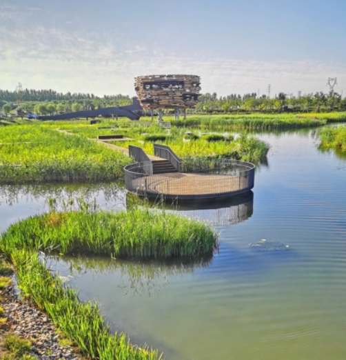 北京最大“綠肺”公園，13個(gè)區(qū)域啟動(dòng)園名征集
