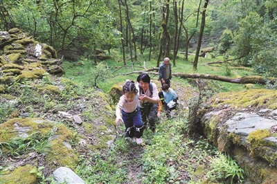 享受國家公園，從了解特許經營開始