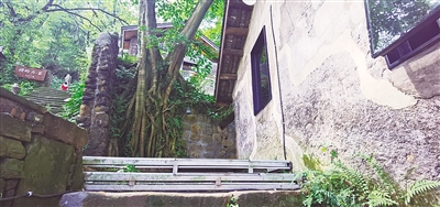 重慶：生態重塑讓古村落記憶再現