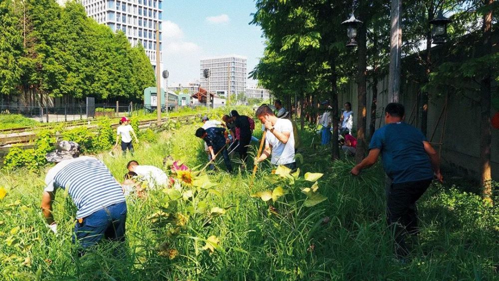 公園成了城市建設(shè)的新指標(biāo)，它為什么重要？