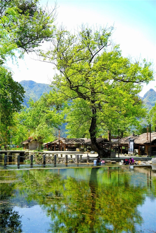 貴州云舍村：打造中國(guó)首席土家人文旅居地