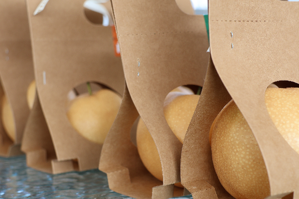 碩果飄香·豐涵海淀丨“梨”享生活 金秋味道