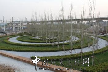 論壇:你能發現皮特·沃克花園的秘密嗎(圖)