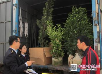 高價值觀賞植物藏身出境貨車被查獲