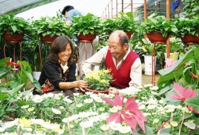 山西：原平市民挑選鮮花迎接“兩節”到來