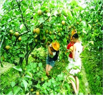 五一出游新趨勢:生態旅游成首選