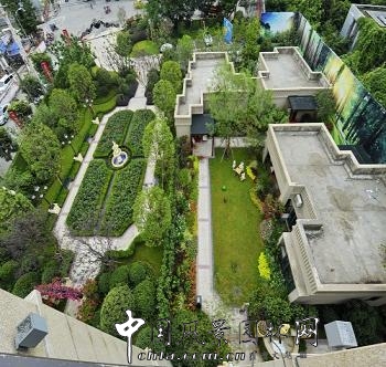 園冶杯住宅景觀獎大獎：藍(lán)光金悅城示范區(qū)