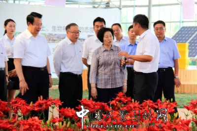 中共中央政治局委員、中央統(tǒng)戰(zhàn)部部長孫春蘭蒙草調(diào)研