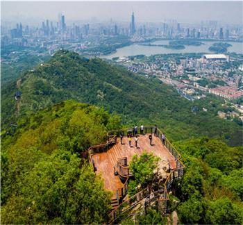 園冶杯專業(yè)獎：中山陵園風(fēng)景區(qū)頭陀嶺區(qū)域環(huán)境整治工程