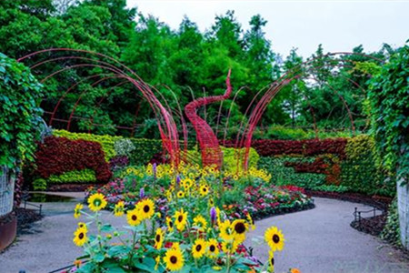 上海植物園迎建黨百年系列主題園藝景點精彩紛呈