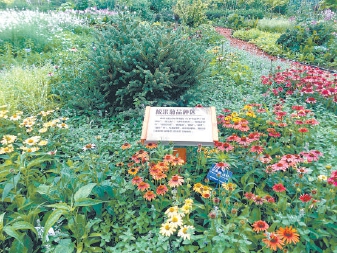 北京海淀添一座特色植物應用示范園