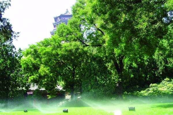 城鎮如何實現節水園林綠化