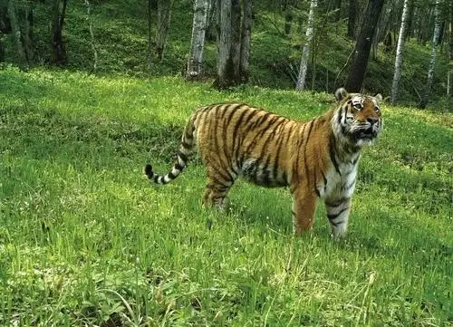 我國生物多樣性保護成效顯著
