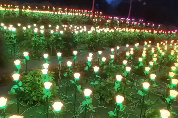 世界花卉大觀園開啟沉浸式魔幻主題“夜游節”