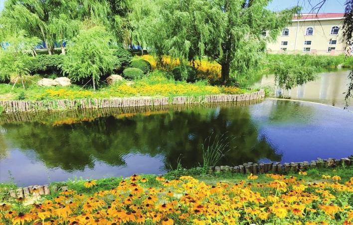 長春公園打造珍珠湖“絲路花語”濱水景觀帶