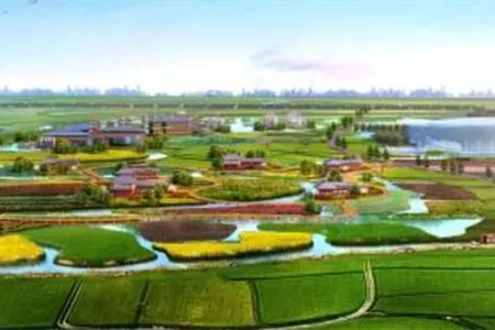 廣州建111個市級農業公園 推動城鄉融合發展
