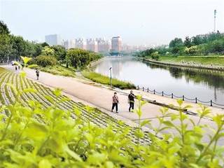 河北衡水：建設體育公園 打造城市休閑客廳