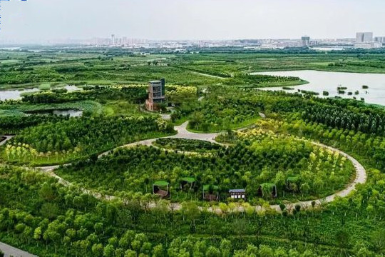 天津發布綠色生態屏障區造林綠化專項規劃