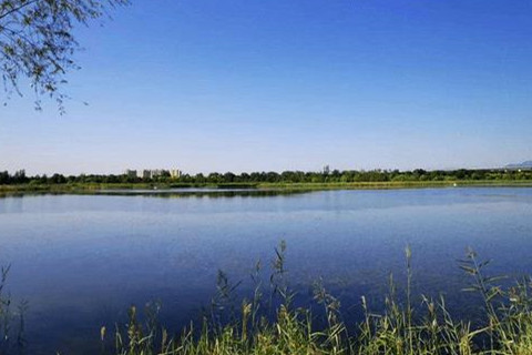北京永定河豐臺段現水岸森林景觀