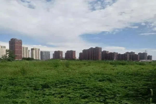 北京全市蓋網地塊逐步“揭網見綠”