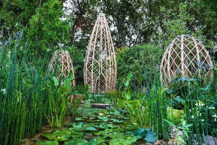 “廣州花園”獲切爾西花展金獎