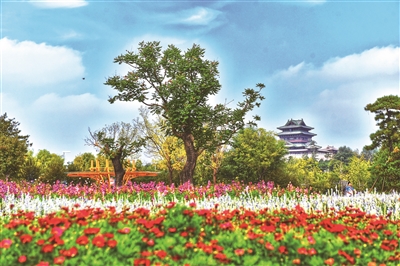 北京世園公園推出三條主題游覽線