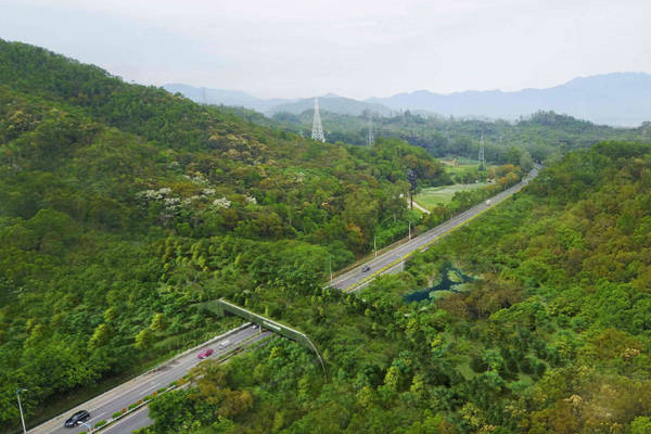 生態(tài)廊道：連接生物多樣之橋
