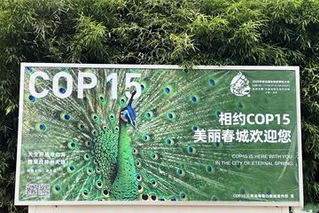 全球生物多樣性保護(hù)盛會(huì)今天在昆明開幕