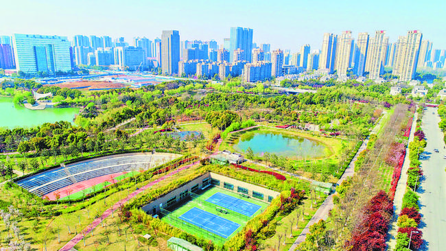 合肥將推動“體綠結合” 提升公園復合功能
