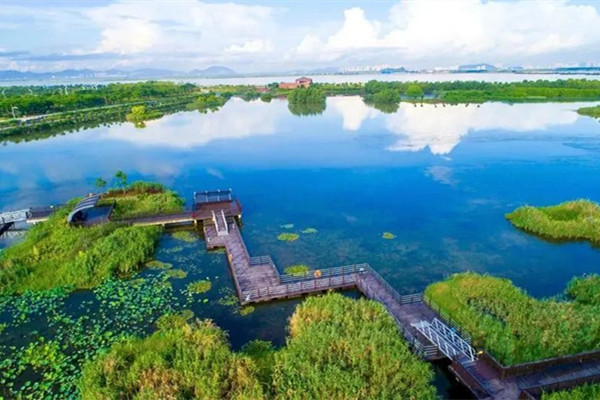 橫琴研討國家濕地公園（試點(diǎn)）規(guī)劃建設(shè)