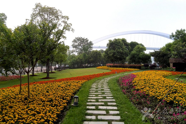 中國城市公園建設熱潮：口袋公園與中央公園并行