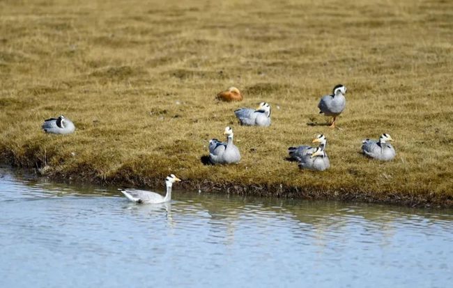 發揮國家公園體制優勢 激發多重效益