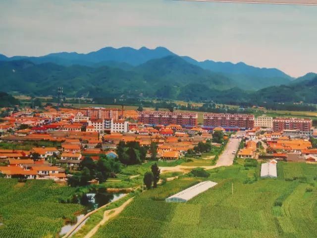 遼寧省全面清除虛假虛擬“特色小鎮”